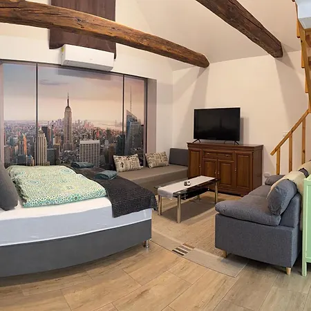 Biro Vendeghaz Apartment *