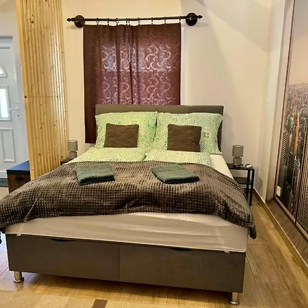 Biro Vendeghaz Apartment *